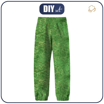 DZIECIĘCE SPODNIE Z SOFTSHELLU (YETI) - SMOK DINO / tło (110/116)