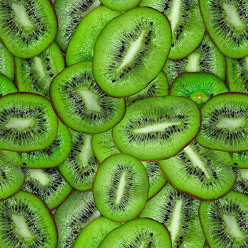 KIWI - single jersey z elastanem TE210