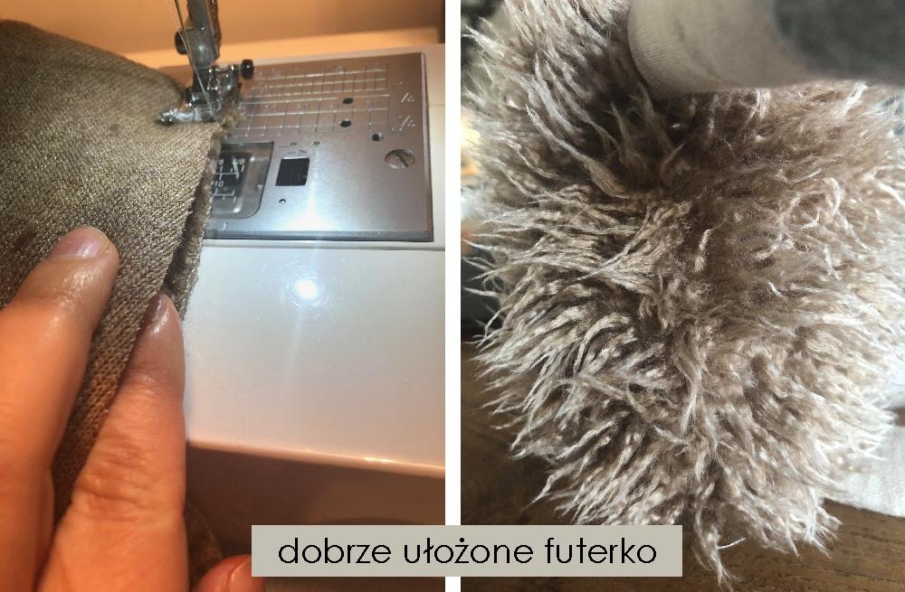 baranek i owca