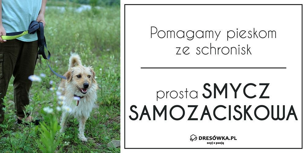 Smycz samozaciskowa - pomagamy pieskom ze schronisk