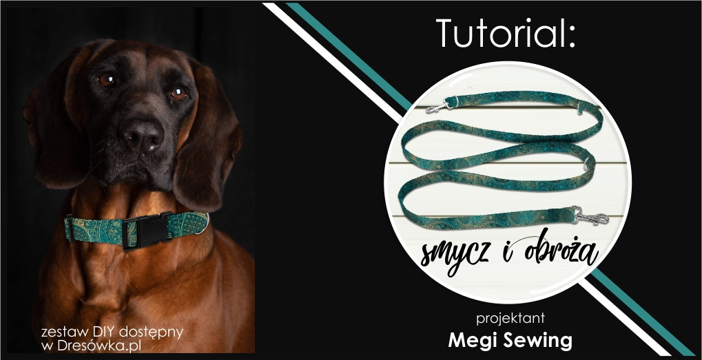 Smycz i obroża z zestawu DIY