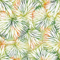 LILY PADS -Slub Weave