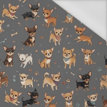 Nylon fabric PUMI