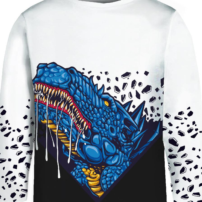 Longsleeve - BLUE DRAGON - Single Jersey ITY (146/152)
