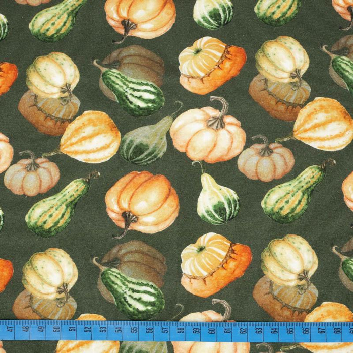 PUMPKINS AND ZUCCHINI / olive (PUMPKIN GARDEN) - single jersey 