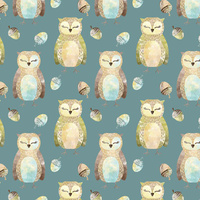 OWLS AND ACORNS (FOREST ANIMALS) - Panama 220g