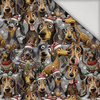 DOGS WZ. 1 / CHRISTMAS - Thermo lycra