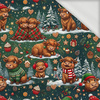CHRISTMAS HIGHLAND COWS - dresówka pętelkowa