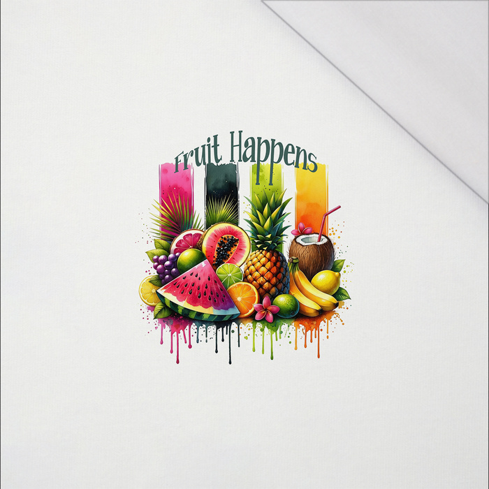 TUTTI FRUTTI MIX WZ. 1 - panel (60cm x 50cm) SINGLE JERSEY