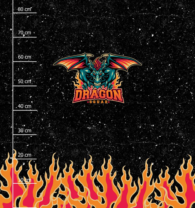 DRAGON VZ. 1 / černá - panel (75cm x 80cm)