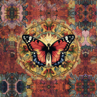 ANIMALS MANDALA wz.11 - panel (60cm x 50cm)  Potahový velur