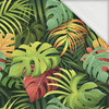 WILD JUNGLE WZ.6 - looped knit fabric with elastane ITY
