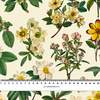 BOTANICAL GARDEN wz.1- Potahový velur 