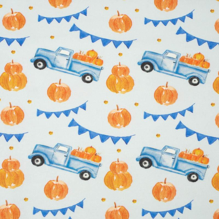 95CM PUMPKINS ON THE PICKUP /  ROSETTES (PUMPKIN GARDEN) - looped knit fabric