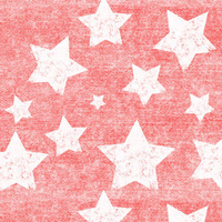 WHITE STARS / vinage look jeans (red) - Viscose jersey