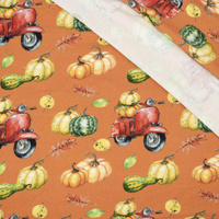 KÜRBISSE AUF DEM SCOOTER (Blätter) / orange (KÜRBISGARTEN) - Single Jersey