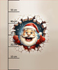 HAPPY SANTA - Paneel (60cm x 50cm)