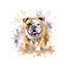 WATERCOLOR BULLDOG - panel (60cm x 50cm)