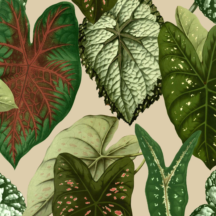 PARADISE LEAVES pat. 1 (SAFARI) - Cotton woven fabric
