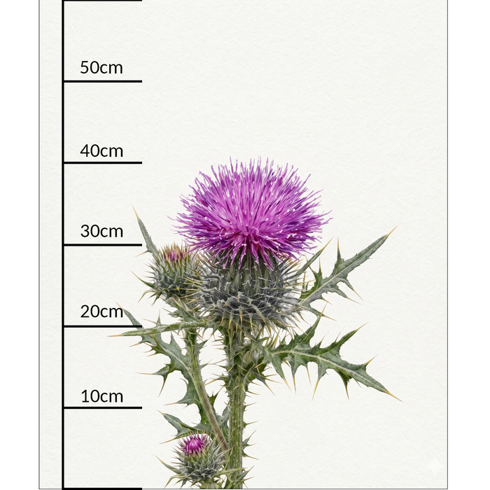 PASTEL WILDFLOWER - panel (60cm x 50cm)  Potahový velur 