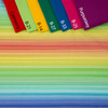 REGENBOGEN STREIFEN Ms. 1 - Lycra 300g