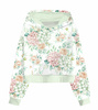 Hydrangeas / lime cream