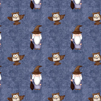 WIZARDS / owls (MAGIC SCHOOL) / ACID WASH DARK BLUE