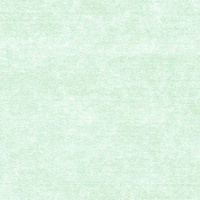 VINTAGE LOOK JEANS (mint)