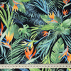 PARADISE JUNGLE / black - swimsuit lycra