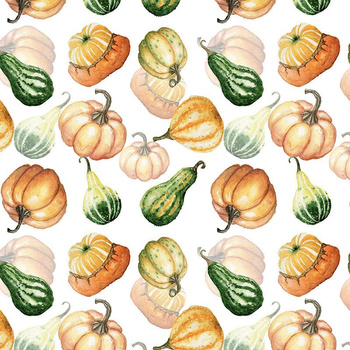 KÜRBISSE UND ZUCCHINI / weiß (KÜRBISGARTEN)