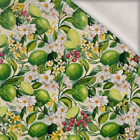 TUTTI FRUTTI WZ. 41 / lime cream - brushed knitwear with elastane ITY