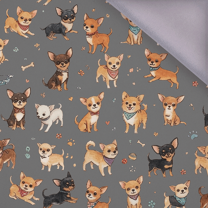 CHIHUAHUA DOGS - Softshell