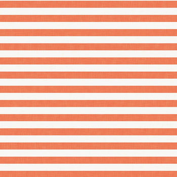 STRIPES 1x1 - acid ecru / acid red - single jersey with elastane