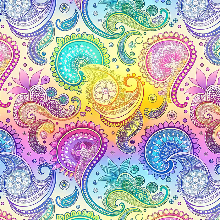 PAISLEY wz.16 - dresówka pętelkowa