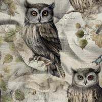PASTEL BIRDS WZ. 4 (OWLS) - Cotton muslin