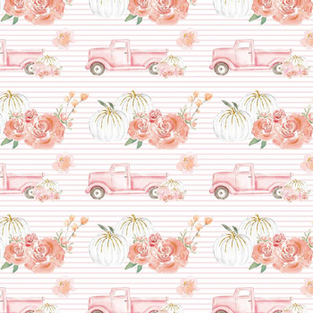 PASTELOVÉ DÝNĚ NA VOZU/ PRUHY (dýňová zahrada)