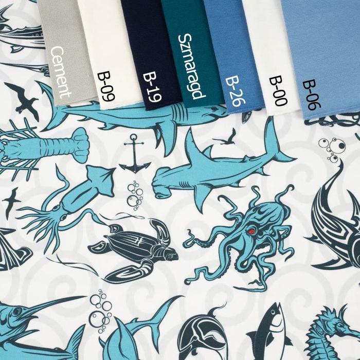 OCEAN - dresówka pętelkowa SP250