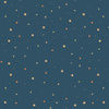 MINI GALAXY