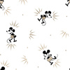 MOUSE PAT. 9 - lycra 300g