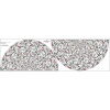 Klein Tellerrock-Panel - Viskose Jersey - BEAUTIFUL FLOWERS