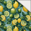 TUTTI FRUTTI WZ. 18 - leichte Maschenware angeraut