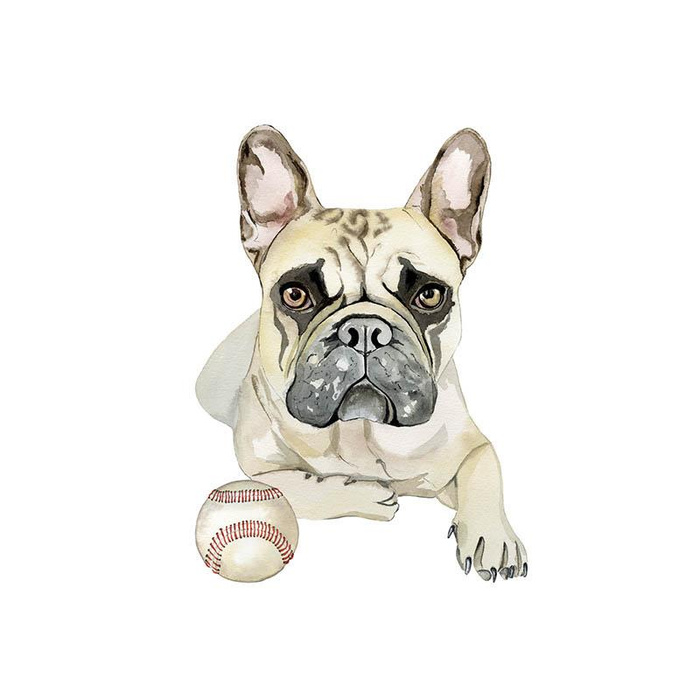 BULLDOG / beige - SINGLE JERSEY PANEL 50cm x 60cm