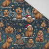 CHRISTMAS CAPYBARA - Panama 220g