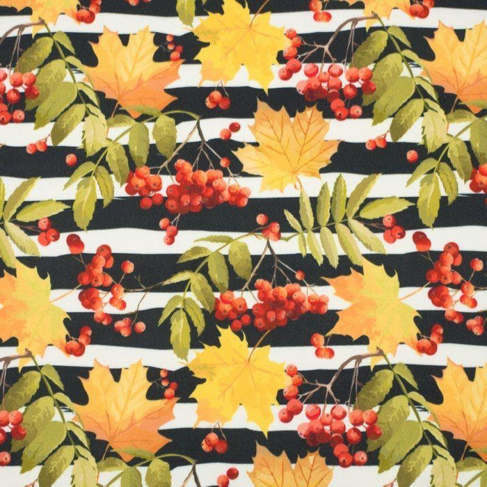 VOGELBEEREN  - Softshell 