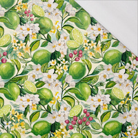 TUTTI FRUTTI WZ. 41 / lime cream - single jersey
