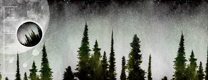 METEORICKÉ ROJE (GALAXY) - PANORAMICKÝ PANEL 60 cm