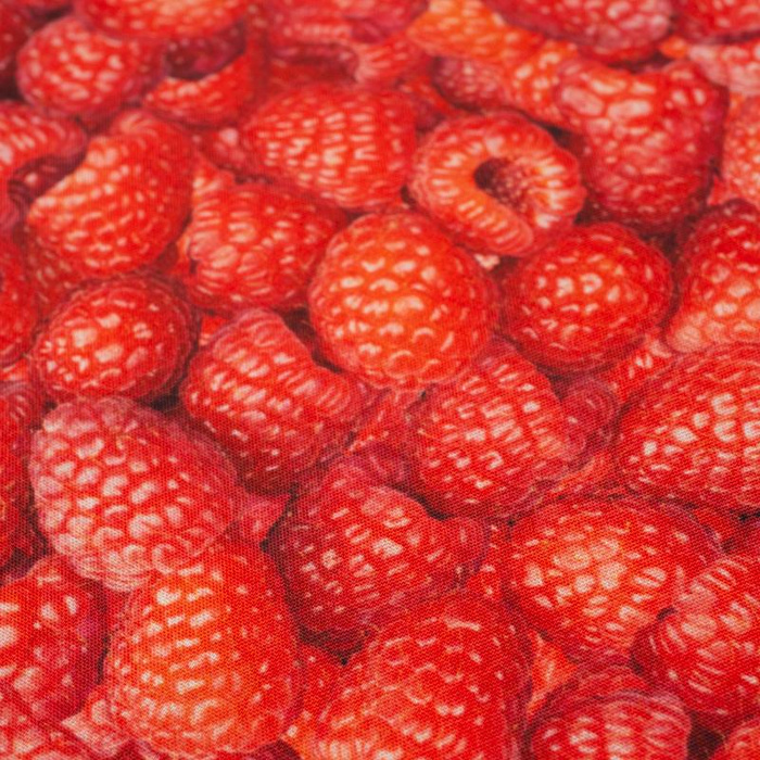 HIMBEEREN - schnelltrocknende Webware