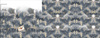 BRIEF (MAGIC) - panoramisches Paneel 60 cm