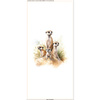 PODUSZKA 45X45 - WATERCOLOR MEERKAT - tkanina bawełniana - panel przód + tył