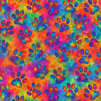 COLOR POP WZ.4